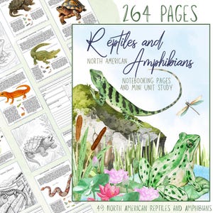 HUGE Reptiles and Amphibians Notebooking Pack 264 Page Homeschool Nature Journal Science Lizard Zoology Mini Unit Study Snake Alligator Frog