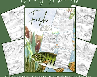 May include: A set of colouring flashcards depicting freshwater fish. The central card reads "Fish" with "Coloring Flashcards" underneath. Surrounding cards show detailed fish illustrations, ideal for educational or creative use.