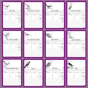 Pu&ograve; includere: Una collezione di dodici carte con bordi viola, ognuna con un'illustrazione in bianco e nero di un uccello. Ogni carta include il nome dell'uccello e spazio per le note. Gli uccelli includono lo scricciolo, il pigliamosche crestato e il passero domestico.