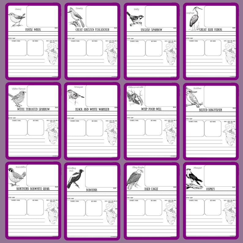Pu&ograve; includere: Una collezione di dodici carte con bordi viola, ognuna con un'illustrazione in bianco e nero di un uccello. Ogni carta include il nome dell'uccello e spazio per le note. Gli uccelli includono lo scricciolo, il pigliamosche crestato e il passero domestico.