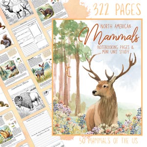 North American Wildlife Mammals Unit Study and Notebooking Pack: Open and Go Homeschool Curriculum Flashcards, Coloring Pages