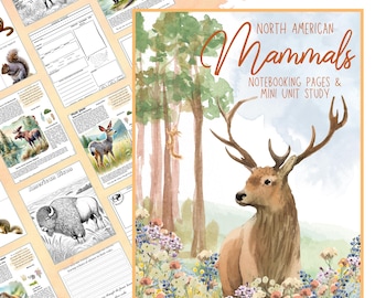 North American Wildlife Mammals Unit Study and Notebooking Pack: Open and Go Homeschool Curriculum Flashcards, Coloring Pages