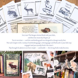 The Burgess Animal Book Notebooking Journal: Ambleside Homeschool Unit Study with Flashcards, Coloring Pages, Worksheets image 2