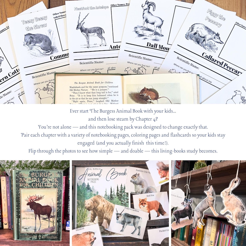 The Burgess Animal Book Notebooking Journal: Ambleside Homeschool Unit Study with Flashcards, Coloring Pages, Worksheets image 2