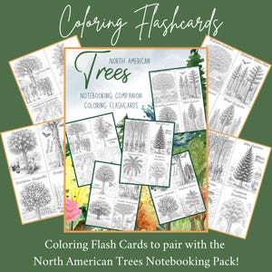 May include: A set of colouring flashcards illustrating North American trees, designed as a notebooking companion. The cards display detailed tree drawings and the text "Coloring Flashcards" and "North American Trees". The cards are arranged on a green background.
