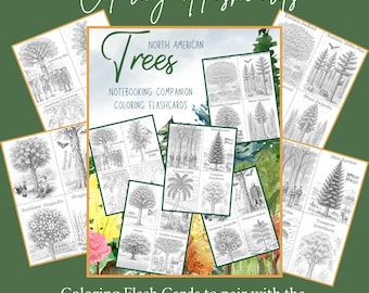 North American Trees Flashcards for Coloring:  Homeschool Hands On Botany Unit Study Activity