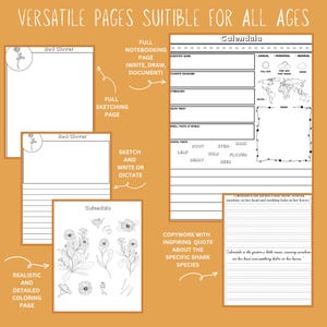 Medicinal Herbs Unit Study Homeschool | Herbalism Botany Curriculum | Herb Study Notebooking, Coloring, Copywork & Flashcards image 4