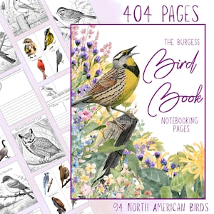 Peut inclure: Un livre sur les oiseaux avec une illustration à l'aquarelle d'un oiseau jaune et brun perché sur un poteau en bois, entouré de fleurs. La couverture indique "The Burgess Bird Book" et "404 pages, 94 oiseaux d'Amérique du Nord."