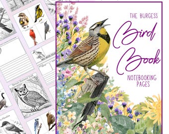 The Burgess Bird Book Notebooking Pages:  Homeschool Unit Study and Nature Journals with Coloring, Writing and Flashcards (PDF)
