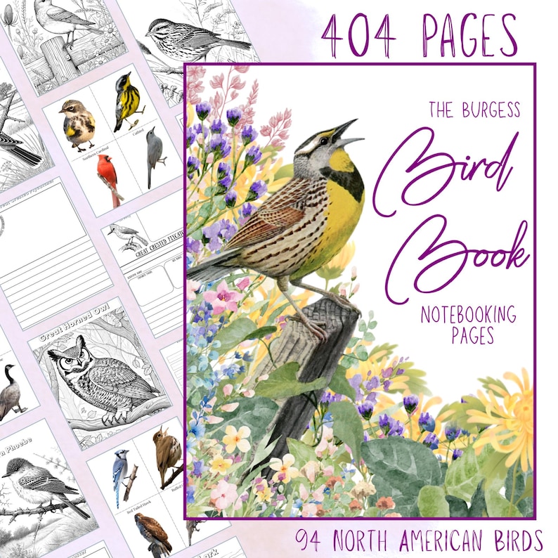 Pu&ograve; includere: Un libro sugli uccelli con un'illustrazione ad acquerello di un uccello giallo e marrone appollaiato su un palo di legno, circondato da fiori. La copertina recita "The Burgess Bird Book" e "404 pagine, 94 uccelli nordamericani."