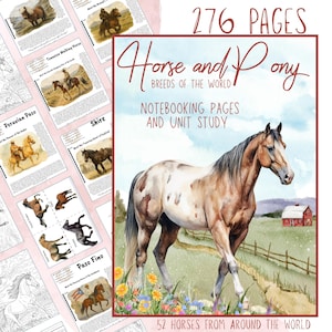 Horse and Pony Breeds Unit Study:  Homeschool Equestrian Nature Journal Coloring Pages Copywork Flashcards