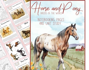 Deelstudie paarden- en ponyrassen: Homeschool Equestrian Nature Journal Kleurplaten Copywork Flashcards