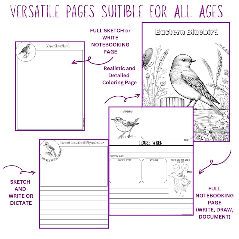 Pu&ograve; includere: Pagine stampabili per tutte le et&agrave; con illustrazioni di uccelli. Include pagine per disegnare, scrivere e colorare. Le pagine includono il testo "VERSATILE PAGES SUITIBLE FOR ALL AGES", "FULL SKETCH or WRITE NOTEBOOKING PAGE", e "FULL NOTEBOOKING PAGE (WRITE, DRAW, DOCUMENT)".