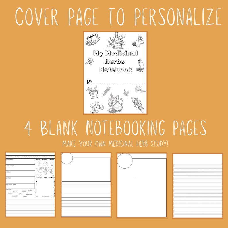Medicinal Herbs Unit Study Homeschool | Herbalism Botany Curriculum | Herb Study Notebooking, Coloring, Copywork & Flashcards image 8