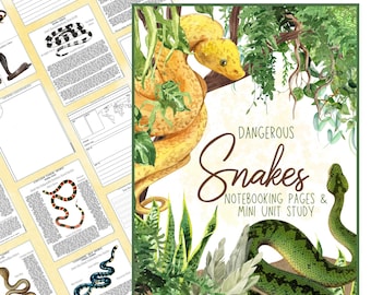 Venomous Snakes Unit Study en notitiepagina's: homeschool reptielencurriculum met flashcards en kopieën Anaconda Boa Rattlesnake Viper