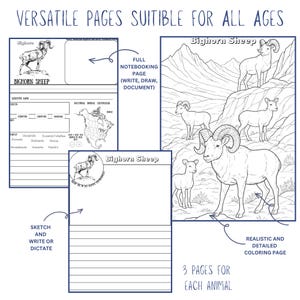 The Burgess Animal Book Notebooking Journal: Ambleside Homeschool Unit Study with Flashcards, Coloring Pages, Worksheets image 4