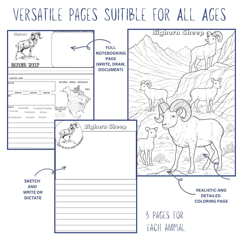 The Burgess Animal Book Notebooking Journal: Ambleside Homeschool Unit Study with Flashcards, Coloring Pages, Worksheets image 4
