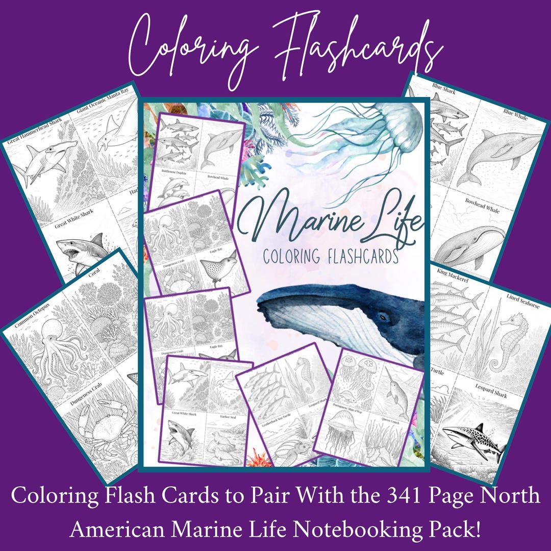 Marine Life of the US Coloring Flashcards Hands on Homeschool Unit ...