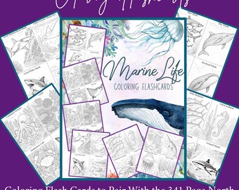 May include: A collection of "Marine Life Coloring Flashcards" featuring various sea creatures. The cards are black and white illustrations, including sharks, whales, and jellyfish. The text "Coloring Flashcards" and "Marine Life" are visible. The cards are designed to pair with a notebook pack.