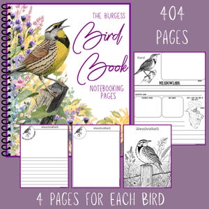 Pu&ograve; includere: Un libro sugli uccelli rilegato a spirale con una copertina viola con un'illustrazione di allodola. La copertina recita "The Burgess Bird Book" e "Notebooking Pages". All'interno, ci sono 404 pagine, con 4 pagine dedicate a ogni uccello. Le pagine includono pagine a righe e bianche e una mappa.
