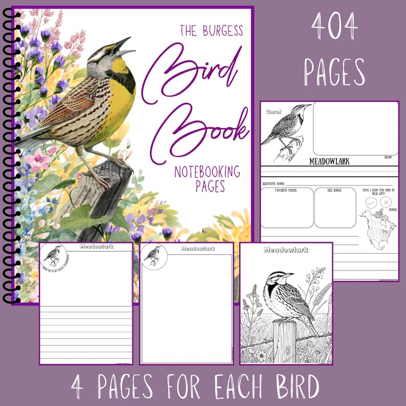 Pu&ograve; includere: Un libro sugli uccelli rilegato a spirale con una copertina viola con un'illustrazione di allodola. La copertina recita "The Burgess Bird Book" e "Notebooking Pages". All'interno, ci sono 404 pagine, con 4 pagine dedicate a ogni uccello. Le pagine includono pagine a righe e bianche e una mappa.