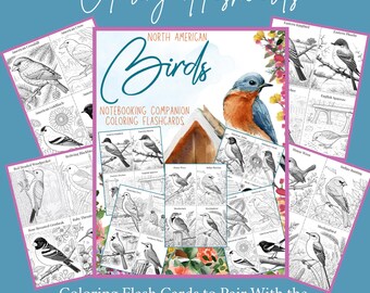 North American Birds Flashcards: hands on homeschool Unit Study Backyard Birds Activity
