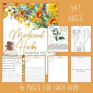Medicinal Herbs Unit Study Homeschool | Herbalism Botany Curriculum | Herb Study Notebooking, Coloring, Copywork & Flashcards image 2