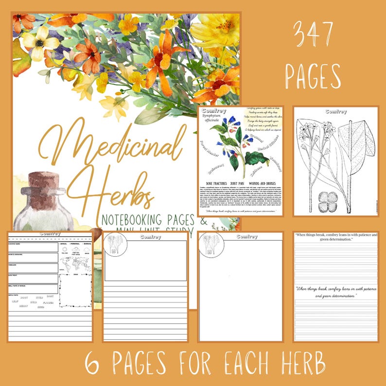 Medicinal Herbs Unit Study Homeschool | Herbalism Botany Curriculum ...