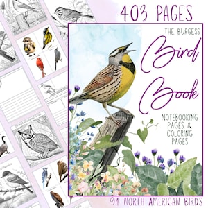 HUGE The Burgess Bird Book Notebooking Pack 403 Pages Homeschool Bird Nature Journal Coloring Pages Ambleside Online Thornton Burgess