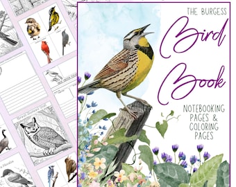 HUGE The Burgess Bird Book Notebooking Pack 403 Pages Homeschool Bird Nature Journal Coloring Pages Ambleside Online Thornton Burgess