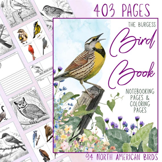 The Burgess Bird Book Companion Unit Study:  Notebooking Journal with Worksheets, Coloring and Flashcards (PDF)