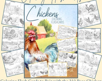May include: A collection of colouring flashcards showcasing different chicken breeds. The image features a watercolour illustration of a cockerel and several flashcards with detailed drawings of various chicken types. Text on the cards reads "Chickens Coloring Flashcards".