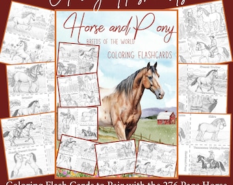 May include: A set of colouring flashcards featuring horse breeds. The central image shows a brown and tan horse with a black mane. Around the horse are individual flashcards with line drawings of various horse breeds, with text that reads "Horse and Pony Breeds of the World".
