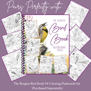 Pu&ograve; includere: Set di 94 schede da colorare The Burgess Bird Book. Il set include un quaderno a spirale con il titolo "The Burgess Bird Book" e diverse schede individuali con illustrazioni dettagliate di uccelli. Lo sfondo &egrave; viola chiaro.