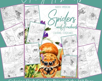Spinnen en schorpioenen kleuren flashcards, homeschool spinachtige natuurstudie hands-on activiteiteneenheidsstudie afdrukbare pdf
