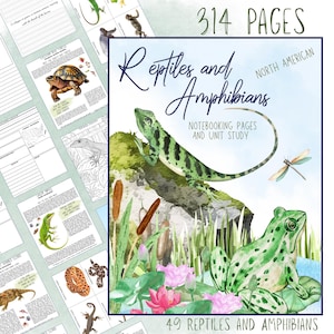 May include: A notebook titled "Reptiles and Amphibians" with a watercolour illustration of a green lizard and frog. The cover includes the text "314 PAGES" and "49 REPTILES AND AMPHIBIANS". Additional pages with reptile illustrations are visible.