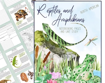 Eenheidsstudie Reptielen en amfibieën en natuurdagboek voor thuisonderwijs met kleurplaten, flashcards en kopieën