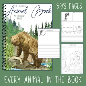 The Burgess Animal Book Notebooking Journal: Ambleside Homeschool Unit Study with Flashcards, Coloring Pages, Worksheets image 3