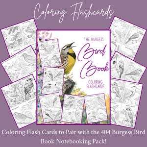 May include: A collection of coloring flashcards featuring bird illustrations. The central card displays a vibrant yellow and black bird with the text "The Burgess Bird Book Coloring Flashcards." Surrounding cards showcase various bird species in black and white, with the words "Coloring Flash Cards to Pair with the 404 Burgess Bird Book Notebooking Pack!"