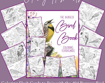Burgess Bird Book Coloring Flashcards: Homeschool Ornithology Unit Study met notitieboek Activiteit natuurdagboek