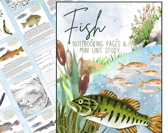 Unità di studio per la scuola domestica sui pesci d'acqua dolce degli Stati Uniti: pagine di quaderno con fotocopie, disegni da colorare e schede didattiche