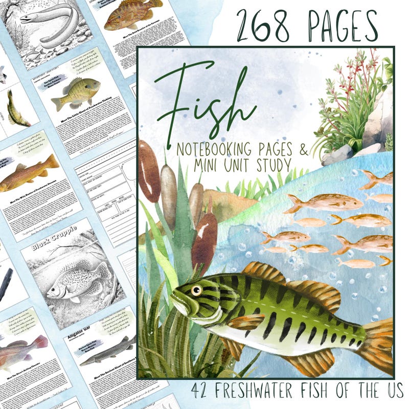 Fish Unit Homeschool - Etsy
