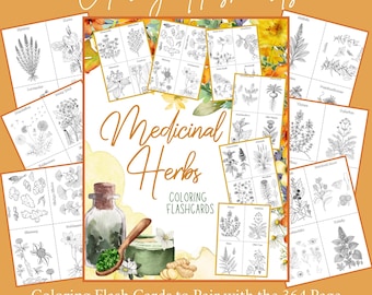 Flashcards geneeskrachtige kruiden afdrukbaar | Kruidenstudie Thuisonderwijs Wetenschap | Botanische kleurkaarten | Natuuronderzoek kruidengeneeskunde pdf