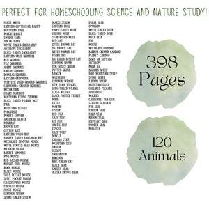 The Burgess Animal Book Notebooking Journal: Ambleside Homeschool Unit Study with Flashcards, Coloring Pages, Worksheets image 8
