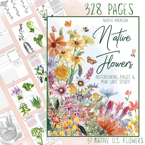 Native Wildflowers Homeschool Unit Study: Open and Go Botany Nature Journal with Coloring Pages Flashcards