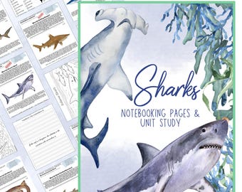 Sharks of the World Homeschool Unit Study: Marine Biology Nature Journal met notitieboeken, kleuren en flashcards