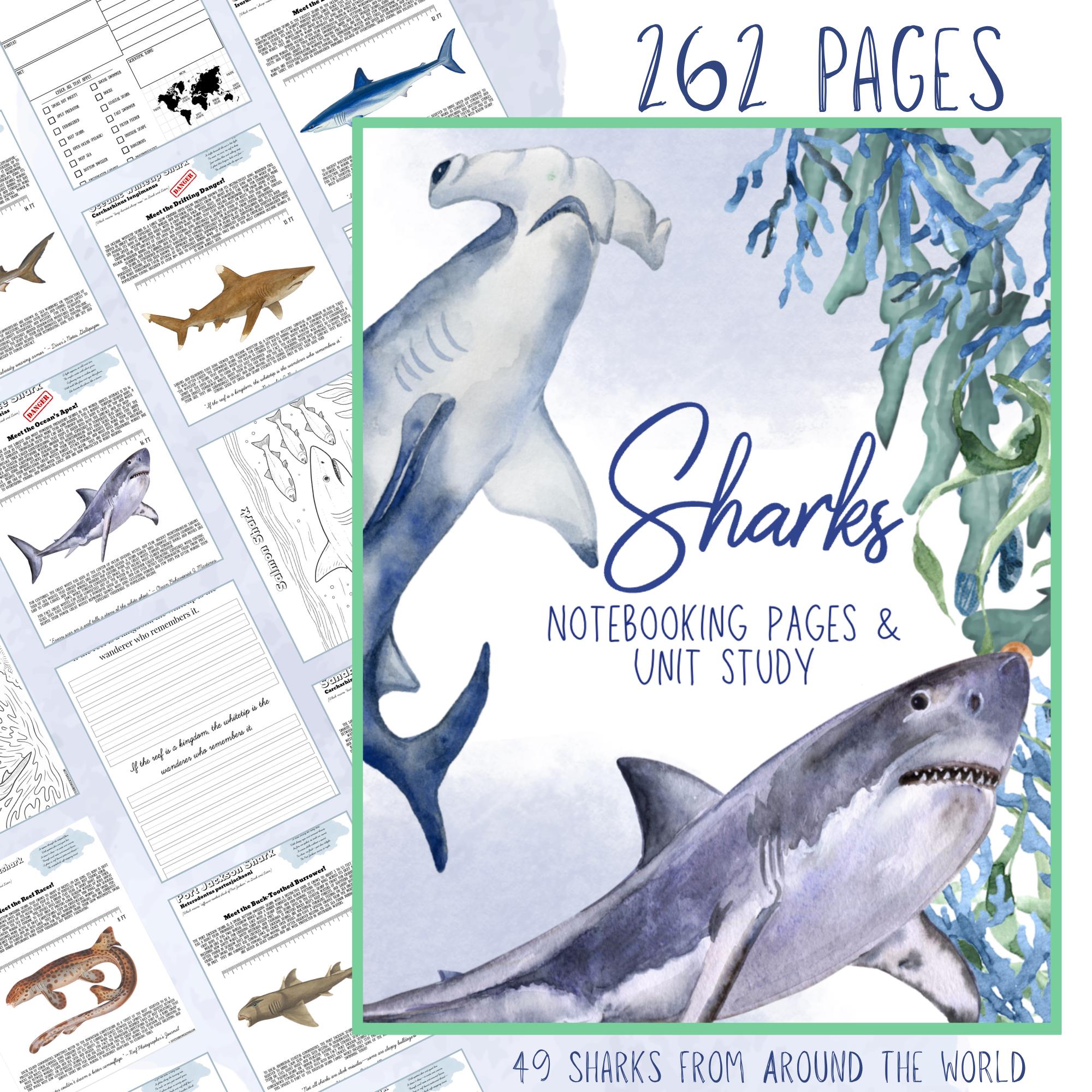 Sharks of the World Homeschool Unit Study: Marine Biology Nature ...