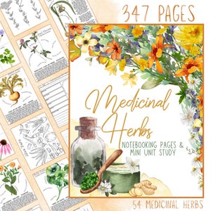 Medicinal Herbs Unit Study Homeschool | Herbalism Botany Curriculum | Herb Study Notebooking, Coloring, Copywork & Flashcards