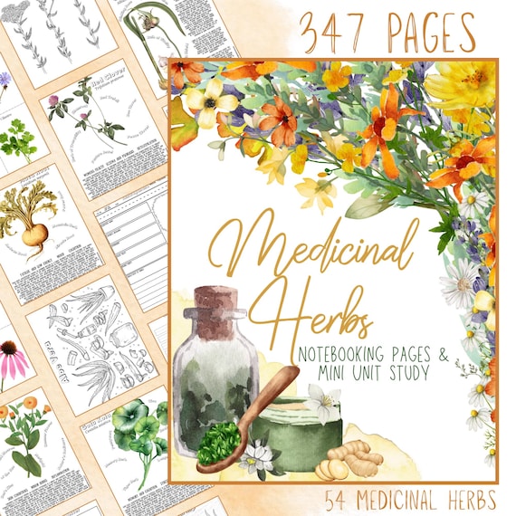 Medicinal Herbs Unit Study Homeschool | Herbalism Botany Curriculum | Herb Study Notebooking, Coloring, Copywork & Flashcards