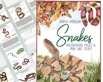 US Snakes Unit Study: Homeschool Open and Go Nature Journal, notitieboeken, kopiëren en flashcards